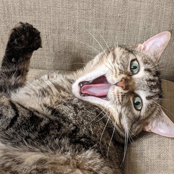 NOT FOR SALE - Picture 8 of 12